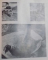 OMAGIU LUI TH. PALLADY , EXPOZITIE COMEMORATIVA ORGANIZATA CU PRILEJUL IMPLINIRII A 100 DE ANI DE LA NASTEREA ARTISTULUI de STEFAN DITESCU , 1972