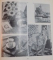OMAGIU LUI TH. PALLADY , EXPOZITIE COMEMORATIVA ORGANIZATA CU PRILEJUL IMPLINIRII A 100 DE ANI DE LA NASTEREA ARTISTULUI de STEFAN DITESCU , 1972