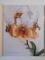 ORCHIDS A CARE MANUAL de BRIAN & SARA RITTERSHAUSEN , 2006