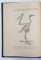 ORNIS ROMANIAE - DIE VOGELWELT RUMANIENS - PASARILE DIN ROMANIA -  von ROBERT ROTTER VON DOMBROWSKI , 1912