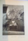 OSTERREICH , LANDSCHAFT UND BAUKUNST de KURT HIELSCHER , colectia ORBIS TERRARUM , 1928