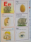 OXFORD READING TREE , DICTIONARY , TEXT COMPLIED by CLARE KIRTLEY , ILLUSTRATIONS by ALEX BRYCHTA , 2008