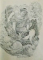 PADURE IMPARAT , BASME de GHEORGHE ONEA , ILUSTRATII DE OCTAVIA TARALUNGA , 1988