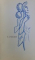 PAGINI MARAMURESENE  - CULEGERE ingrijita de PETRE MATEI , 1964