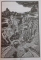 PALATUL DE ARGINT de ALEXANDRU MITRU , ILUSTRATII de MIRELA TUFAN , EDITIA A 3 A , 2009