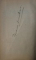 PANDURUL de BUCURA DUMBRAVA , 1912 , CONTINE SEMNATURA OLOGRAFA  A  AUTORULUI*