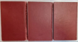 PASARI DE PRADA , DINASTIA SUNDERLAND BEAUCLAIR , VOL. I - III de VINTILA CORBUL , 2007 *PREZINTA URME DE UZURA