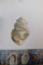 PAVEL BUCUR 1971-2001, DOMINATOR AL MATERIEI, EDITIE TRILINGVA (ROMANA,ITALIANA,ENGLEZA)