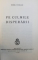 PE CULMILE DISPERARII  de EMIL CIORAN , 1934 , EDITIE ANASTATICA , 1988