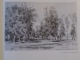 PEINTURES OEUVRES GRAPHIQUES de IVAN SHISHKIN , 1986