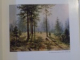 PEINTURES OEUVRES GRAPHIQUES de IVAN SHISHKIN , 1986
