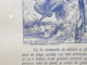 PENTRU NEAM , TARA SI REGE  -  AFIS DE PROPAGANDA , DESEN DE GILLY , ALEGORIE CU SCENA DE LUPTA SI TEXT , IN DESEN APAR SI REGELE FERDINAND I , REGINA MARIA , MARESALUL AVERESCU , 1926