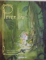 PETER PAN de JAMES MATTHEW BARRIE, QUENTIN GREBAN, 2015