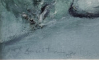 Petre Dumitrescu jr.(1924-1991) - Case in Delta Dunarii