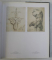 PICASSO - LA FORMATION D' UN GENIE 1890-1904 , 1997