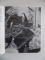 PICTURA JAPONEZA DIN PATRIMONIUL GALERIEI DE ARTA ORIENTALA de CARMEN BRAD , BUCURESTI 1994