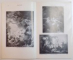 PICTURES AND DRAWINGS ( ILLUSTRATIONS ) , FIFTH EDITION , 1960