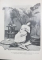 PIERRE GUEDY, AMOUREUSE TRINITE, ROMAN - PARIS, 1897