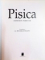 PISICA , COMPORTAMENT , INGRIJIRI , RASE , LAROUSSE , 2006