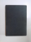 PLATON , BANCHETUL SI PHAIDON de CEZAR PAPACOSTEA , 1930