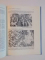 PNEUMOPATIILE CRONICE , CONDITIONARE , MORFOPATOLOGIE , PATOGENEZA de ALEX ESKENASY , 1981