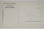 PODUL REGELE CAROL I LA CERNAVODA , CU STATUIA DOROBANTULUI IN PRIM PLAN , CARTE POSTALA , INCEPUTUL SEC . XX