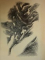POEZII de GEORGE BACOVIA, ilustrata de TIBERIU NICORESCU 1968