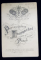 PORTRETUL UNUI ATLET , FOTOGRAFIE TIP CABINET , ATELIERUL TOURANCHET , PARIS , MONOCROMA , CCA. 1900