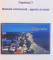 POVESTILE MAMAIEI , CENTENARUL STATIUNII MAMAIA 1905-2005 de MARIA COMANITA CICA , 2005