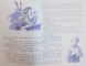 PRASTIA NAZDRAVANA de GICA IUTES , COPERTA SI ILUSTRATIILE de RAISA IUSBIN , 1955