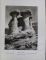PRIVELISTI ROMANESTI  - AL. BADAUTA ,1932