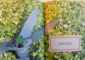 PRUNING & TRAINING , 2013