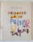 PUISORUL MOTAT de ELENA FARAGO, ILUSTRATII de ETHEL LUCACI BAIAS, 1966 , COPERTILE SI PRIMA PAGINA SUNT COLORATE