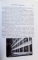 RADIOGRAFIA CAMPULUNGULUI , 2008