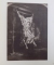 REMBRANDT  - GEMALDE HANDZEICHNUNGEN RADIERUNGEN , eingeleitet von RICHARD GRAUL , 1941