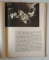 REMBRANDT , GRAVURI , ALBUM CU TEXT IN LIMBA RUSA , 1963