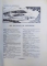 REVISTA 