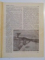 REVISTA CARPATII, VANATOARE, PESCUIT, CHINOLOGIE, ANUL IX , 15 IANUARIE 1941, NR. 1