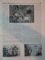 REVISTA CARPATII, VANATORE, PESCUIT, CHINOLOGIE, ANUL II ,  15 OCTOMBRIE  CLUJ 1934, NR. 10