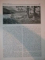 REVISTA CARPATII, VANATORE, PESCUIT, CHINOLOGIE, ANUL III, 15 MAIU, NR. 5 1935