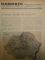 REVISTA CARPATII, VANATORE, PESCUIT, CHINOLOGIE, ANUL X ,  15 AUGUST CLUJ 1942, NR. 8