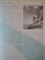REVISTA CARPATII, VANATORE, PESCUIT, CHINOLOGIE, ANUL X ,  15 OCTOMBRIE CLUJ 1943, NR. 10
