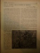 REVISTA CARPATII, VANATORE, PESCUIT, CHINOLOGIE, ANUL XIII ,  15 NOIEMBRIE - DECEMBRIE  CLUJ 1945, NR. 11 - 12