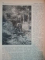REVISTA CARPATII, VANATORE, PESCUIT, CHINOLOGIE, ANUL XV ,  15 MARTIE  CLUJ 1947, NR. 3