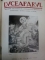 REVISTA LUCEAFARUL   -ANUL I   - 1935  TIMISOARA