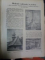 REVISTA LUCEAFURUL 1936- 1937   - TIMISOARA 