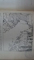 Revista Ramuri, Anul III, nr. 1-12, 1908