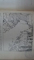 Revista Ramuri, Anul III, nr. 1-12, 1908