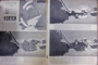 REVISTA SIGNAL , NR, 15, AUGUST 1942
