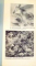 REVOLUTION AND TRADITION IN MODERN ART de RALPH HENRY GABRIEL, 1958